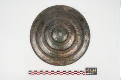 Foto von Bronzephalere (NHMW-PRAE-025640)